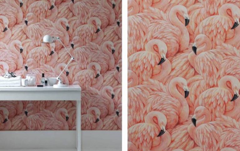 flamingo wallpaper albany